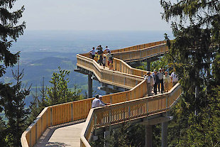 Waldwipfelweg Bayerischer Wald
